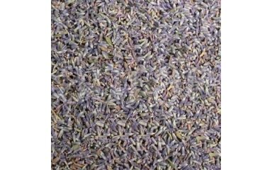 Lavender Petals Lavender Petals