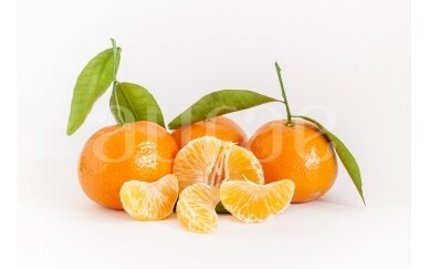 Mandarinų 1