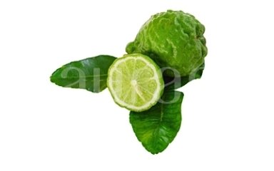 Bergamot (Citrus bergamia)