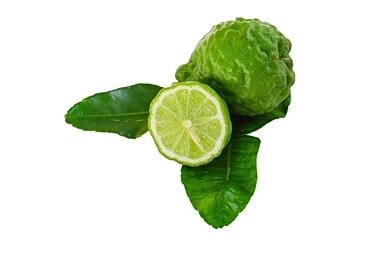 Bergamote (Citrus bergamia) Bergamote (Citrus bergamia)