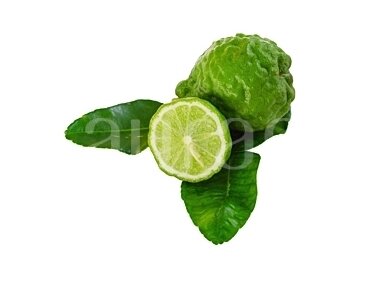 Bergamote (Citrus bergamia) Bergamote (Citrus bergamia)