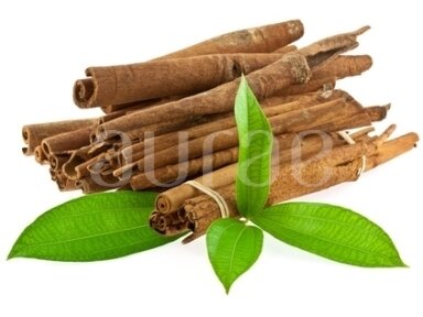 Cinamonų (Cinnamomum zeylanicum)