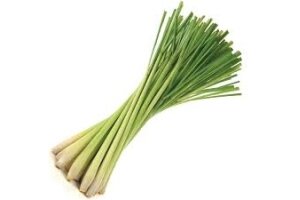 Citronzāle (Cymbopogon citratus) 2 Citronzāle (Cymbopogon citratus) 2