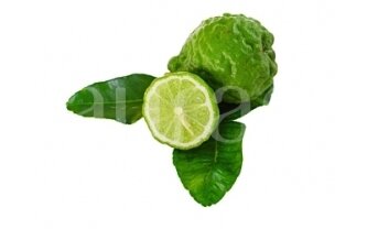 Bergamot (Citrus bergamia) 1 Bergamot (Citrus bergamia) 1