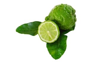 Bergamote (Citrus bergamia) 2