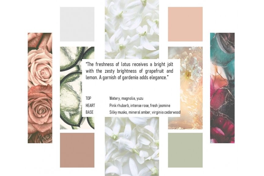 LOTUS-MAGNOLIA 5 LOTUS-MAGNOLIA 5