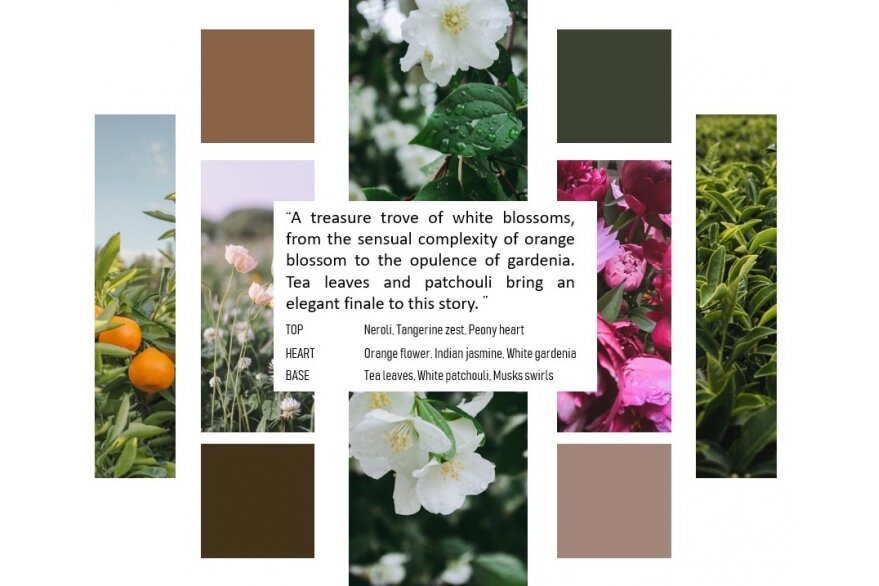 BALTU ZIEDU BAGĀTĪBA/ WHITE FLOWERS 2