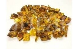 Gintaro gabalėliai DIDELI Gintaro gabalėliai DIDELI