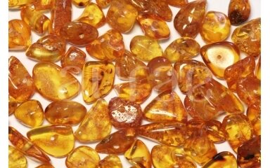 Pieces of Amber