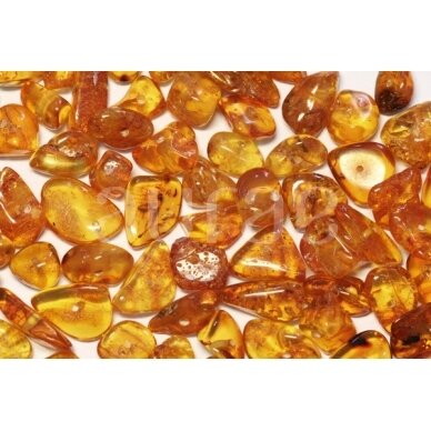Pieces of Amber 1