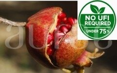 POMEGRANATE 1
