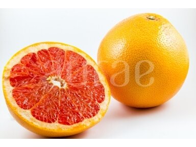 Greipfrutų (Citrus paradisi)