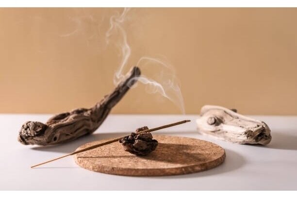 INDIJAS SANDALKOKS/ INDIAN SANDALWOOD