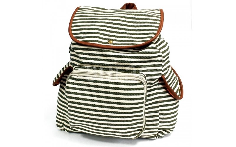 Keliautojo kuprinė "Olive stripe"