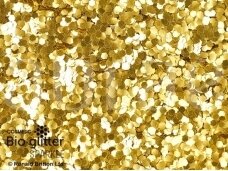 Kosmetinis žėrutis Bioglitter™ SPARKLE aukso 040 Hex