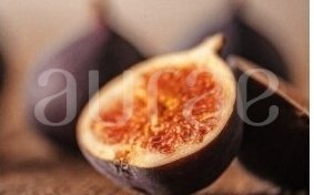 WILD FIG