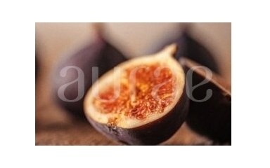 WILD FIG WILD FIG