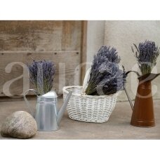 Lavender bouquet ORGANIC
