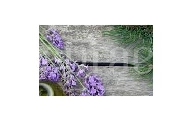 Lavender Cedar Vanilla