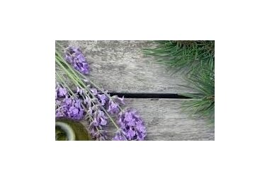 LAVANDA-CIEDRS-VANIĻA LAVANDA-CIEDRS-VANIĻA