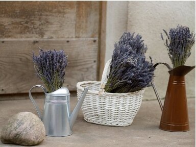 Lavender bouquet