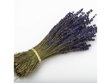 Lavender bouquet