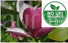 LOTUS-MAGNOLIA 1