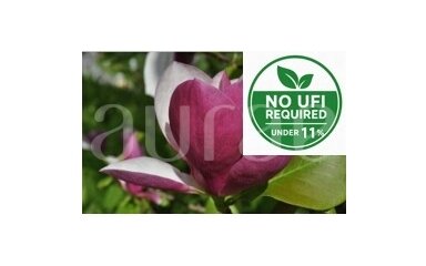 LOTUS-MAGNOLIA LOTUS-MAGNOLIA