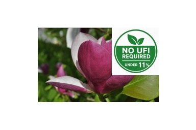 LOTUS-MAGNOLIA LOTUS-MAGNOLIA