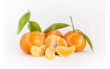Mandarinų