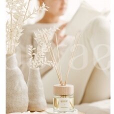Home Fragrance With Bamboo Sticks “Flower Provocation”