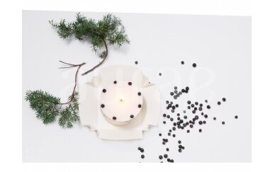 Natūralaus sojų vaško žvakė su eglės spygliais 250 g 4