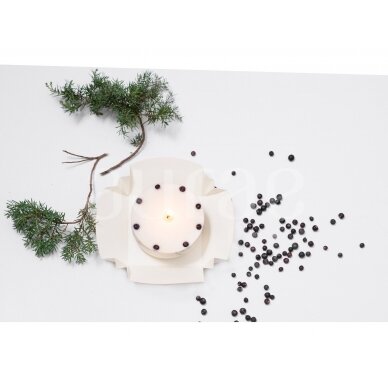 Natural Soy Wax Candle With Spruce Needles 250 g 4