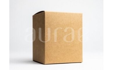 Kraftinės spalvos kartono dėžutė 2