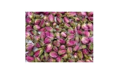 Rose Buds