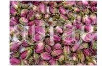 Rožių pumpurai (nerūšiniai) Rožių pumpurai (nerūšiniai)