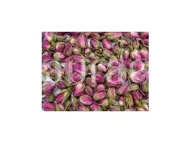 Rose buds (unsorted)