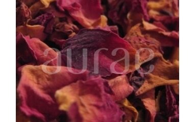 Red Rose Petals