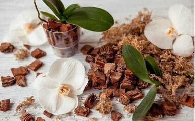 VANILLA-SANDALWOOD