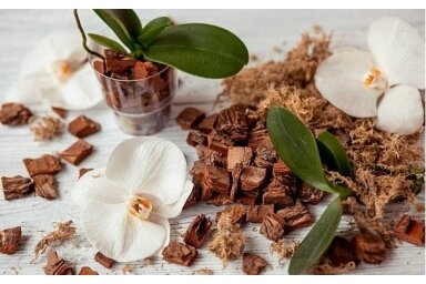 VANIĻA-SANDALKOKS / VANILLA-SANDALWOOD