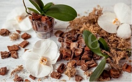 VANILLA-SANDALWOOD