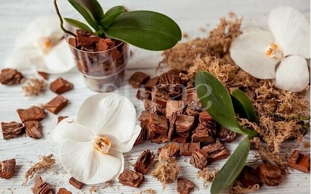 VANILLA-SANDALWOOD